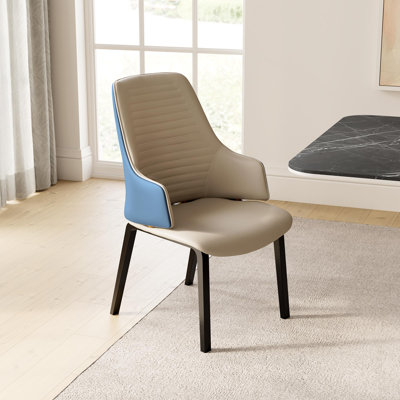Modern Two-tone Dining Chairs Set Of 2, Brown/blue
