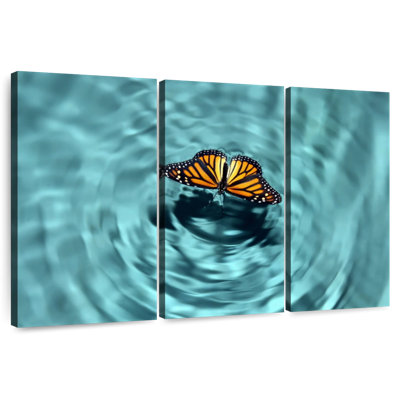 Butterfly Water