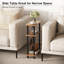 Anschultz End Table