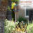 Gatwick Weather Resistant Metal Abstract Garden Stake-1770296889