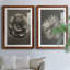 «Blossfeldt Flower III», ensemble de 2 reproductions de photos sur papier encadrées-1593793520-1593793527