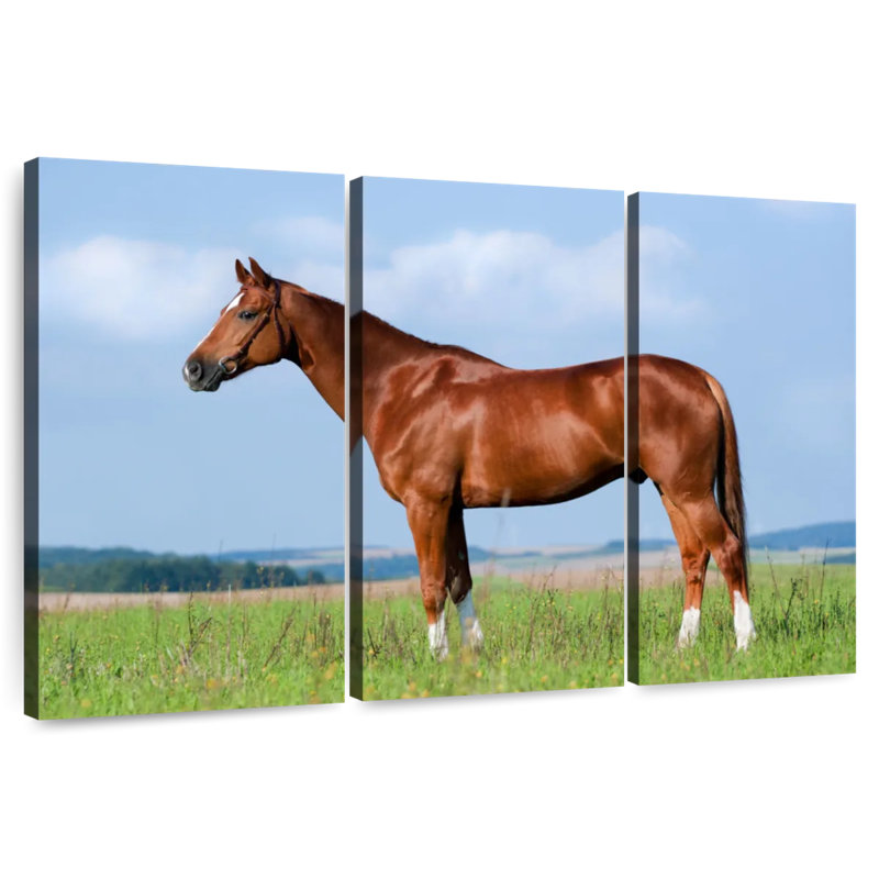 Brampt Still Chestnut Horse, 32" H x 50" W