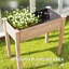 Planter-259805402