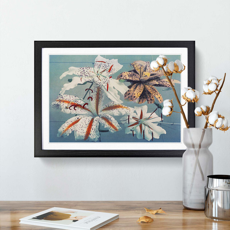 Array Of Lilies by Kazumasa Ogawa - Single Picture Frame Painting, 24cm H x 33cm W x 2cm D, Black