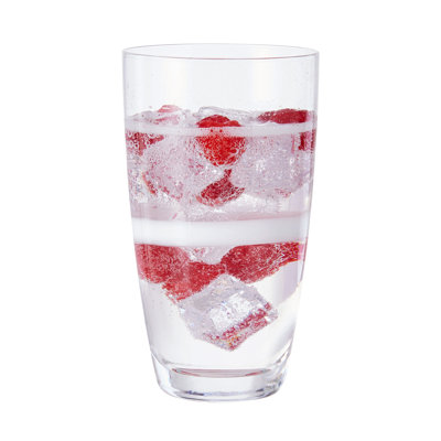 Fitz and Floyd Organic Band 19 oz. Highball Glasses