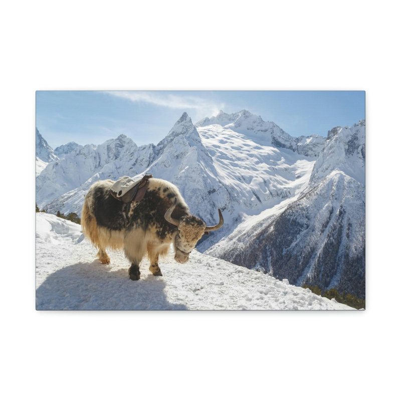 No Frame Print on Canvas, 30.48cm H x 45.72cm W