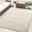 Tapis ivoire Abani Kyleigh DAL130A-1795101046
