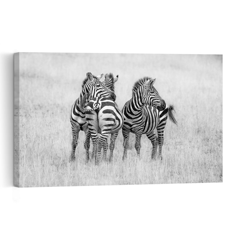 African Zebras Intertwined Contemporary Zebra Nature Wildlife Wall Art Print by Jeffrey C. Sink - 1 Piece Wrapped Canvas Wall Art