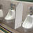 Wall-Mounted Urinal Screen Toilet Partition-101768345