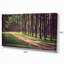 «Vintage Style Forest with Pathway», reproduction de photo sur toile tendue-19240538