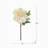 Almost Real 14" Peony, 4 Pack