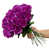 Mauve est en rupture de stock