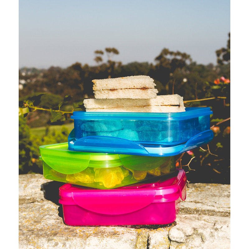 Fresh Keepers Sandwich Lunch Box Containers with Vented Lids
