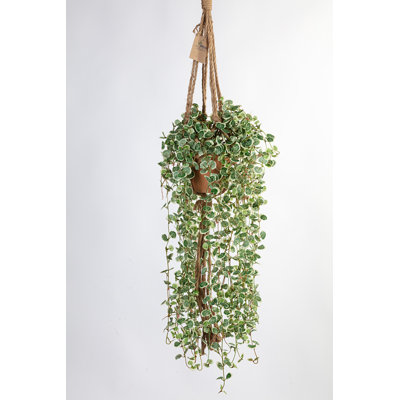 100cm Faux Ficus Plant in Pot