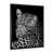 Black Picture Frame selected