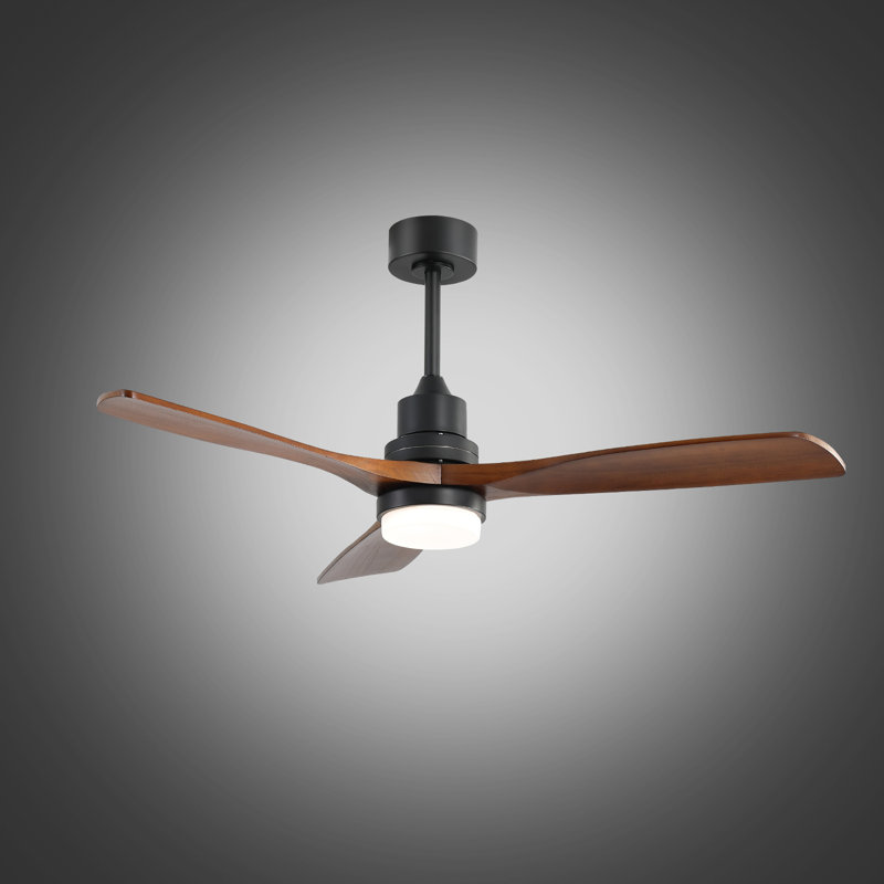 George Oliver Nicola Ceiling Fan
