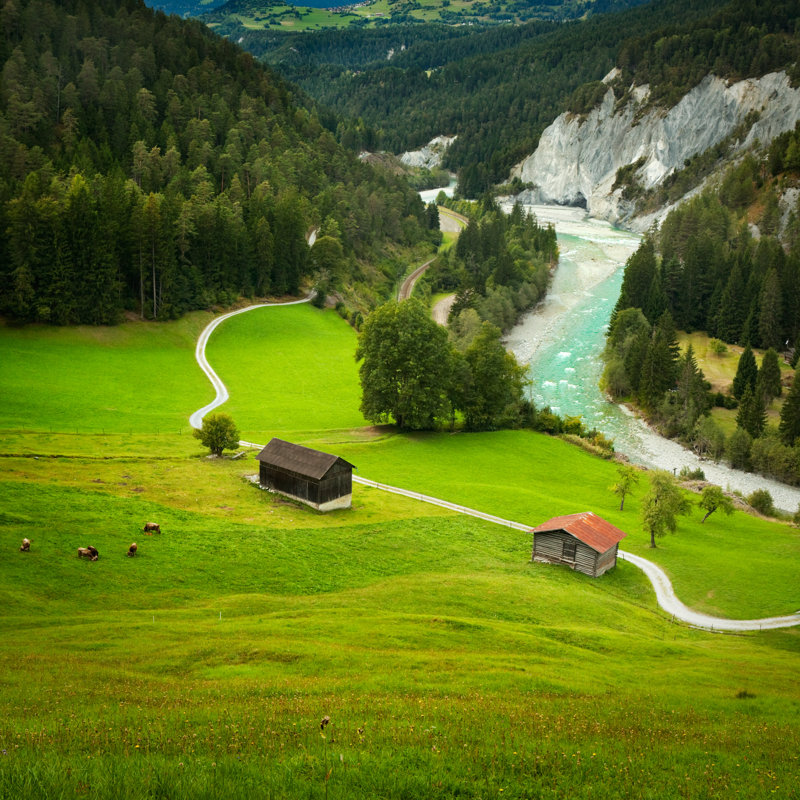 Alpine Pastures par Sara_Winter, H 36 po x l 36 po