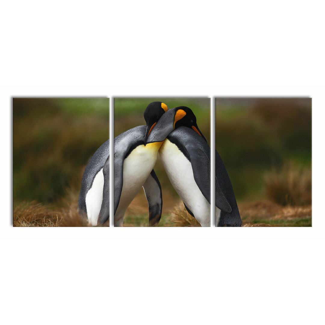 3-tlg. Leinwandbilder-Set Penguins in Antarctica