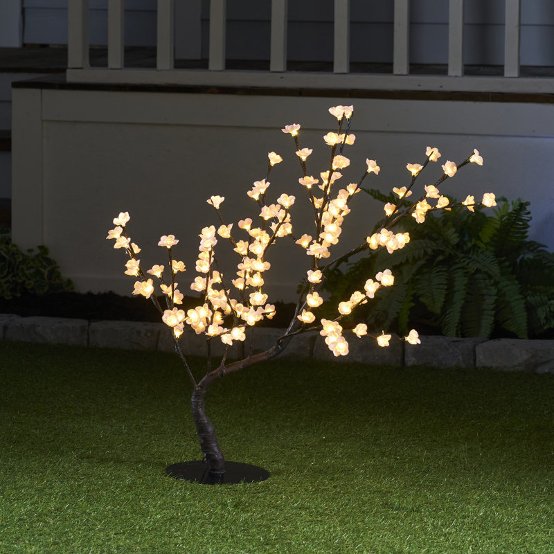 Bonsaïs illuminés et branches, Rose
