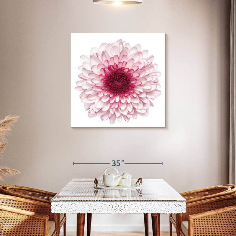 Harnek Pink Chrysanthemum