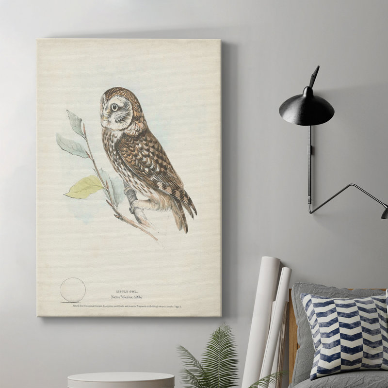 Petite chouette - impression sur toile tendue, H 36 po x l 24 po x P 1 po