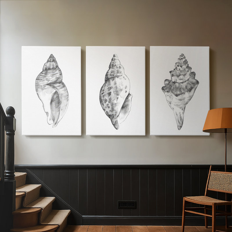 Quiet Conch I - Toile tendue avec châssis sur mesure - 3 pièces, H 12 po x l 24 po, Impression sans cadre