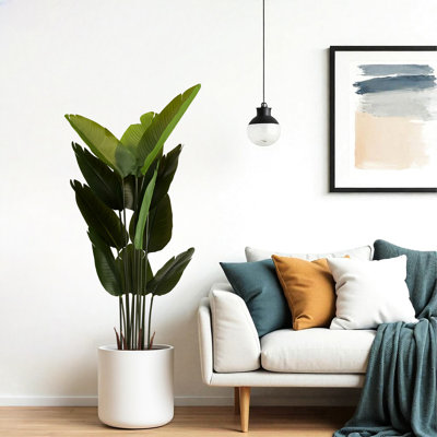 5.2Ft Artificial Traveler Banana Plant, 2Pcs/, Color, Good For Living Room, Toilet, Door Faux Bird Of , For Indoor & Outdoor Use, 12 Leaves, Right Size