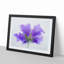 Purple Geranium Flower in Abstract - Picture Frame Graphic Art Print-55765150-55765151