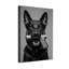 Animaux, berger allemand tenant un pistolet dans la bouche-500174324
