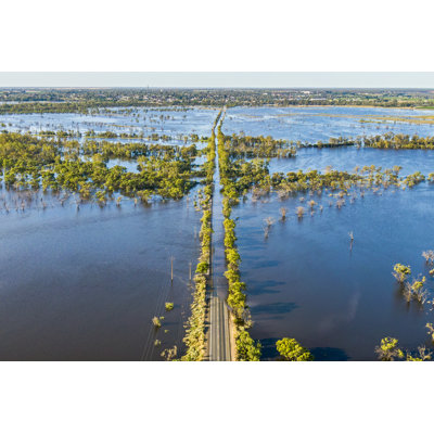 Aerial View Flooded Tree by Beyondimages