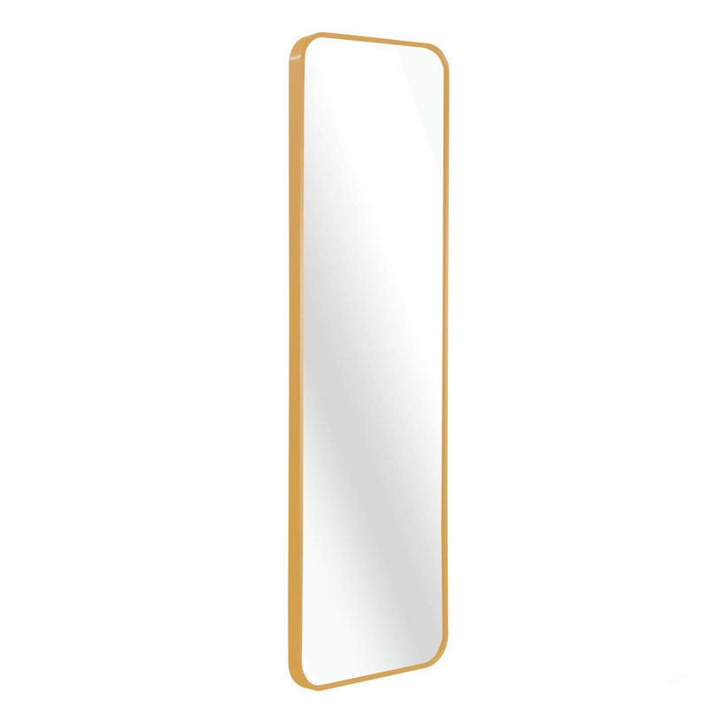 Modern Gold 47 x 14IN Door mirror