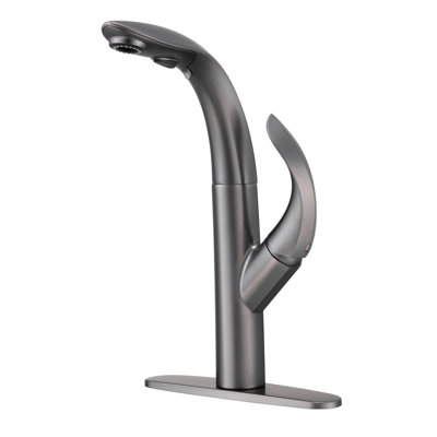 Mondawe Kitchen Faucet