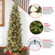 The Holiday Aisle® Carolina Pine Slim Tree with Clear Lights