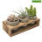 Ceramic Pot Planter
