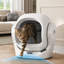 Self-Cleaning Litter Box