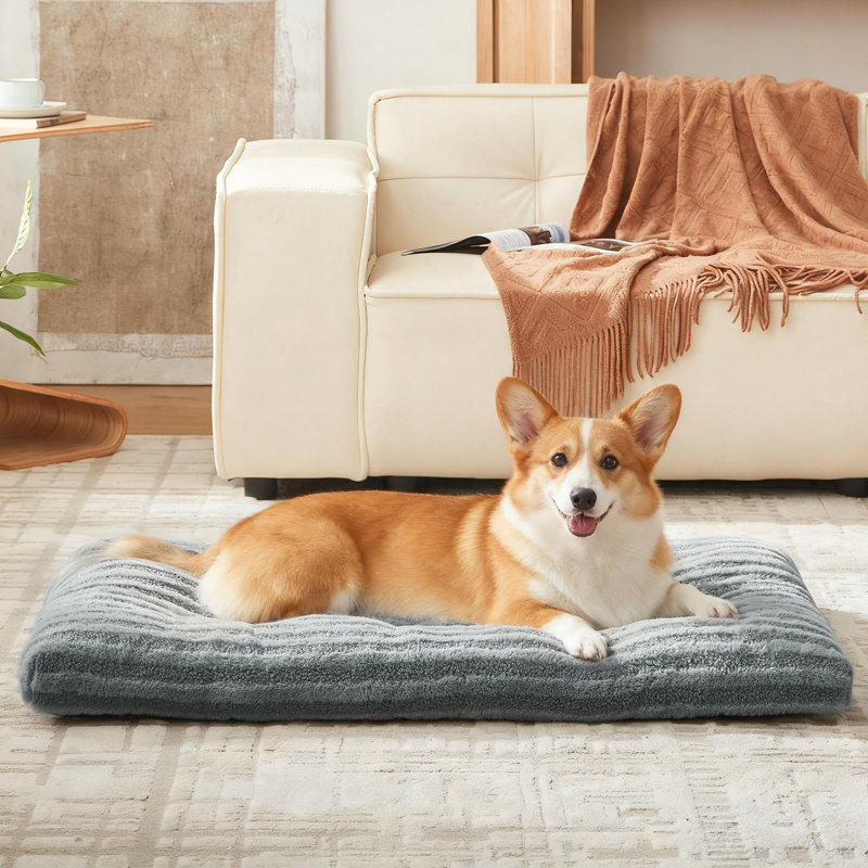 Lit pour animaux de compagnie, lit pour chien et chat anti-angoisse, matelas moelleux avec fond antidérapant, tapis pour chien lavable et confortable pour plancher ou caisse, gris