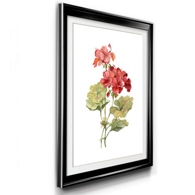 Scarlet Geranium - Single Picture Frame Painting