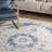 Juliea Distressed Medallion Oriental Power Loom Performance Rug-2118190167