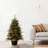 Potted 3' Pre-Lit Pine Christmas Tree