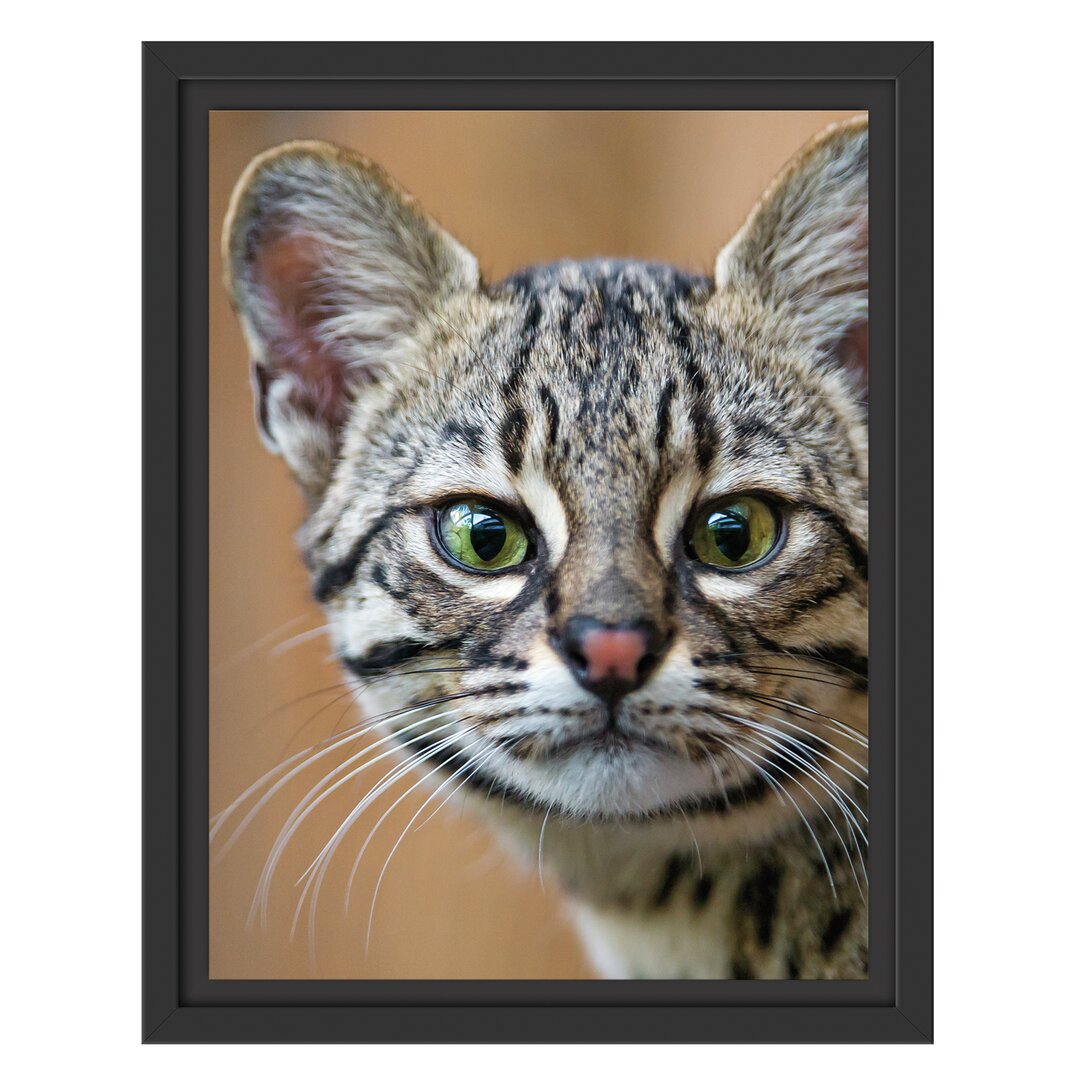 Gerahmtes Wandbild kleine Bengalkatze