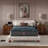 Beautyrest World Class Level Four Firm Smooth Top Mattress-112671445