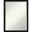 Miroir mural Anastacia-1377012491
