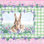 Checkered Border