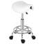 Tabouret de laboratoire à hauteur ajustable Fernie-755041684