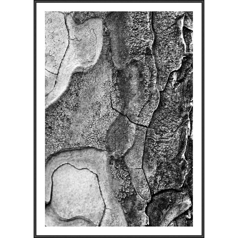 Single Picture Frame Print