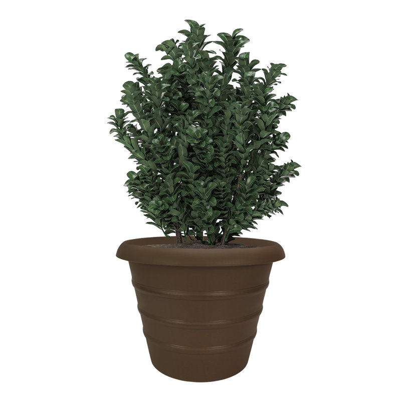 Pot Planter, 17.25" x 20" x 20", Brown