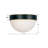 Capsule 12'' Outdoor Flush Mount
