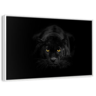 Rare panthère noire