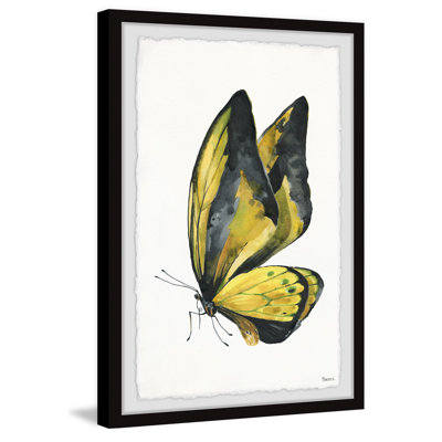 «Black and Yellow Mariposa», reproduction encadrée