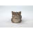 Sleeping Cat Tabby Statue-20595527